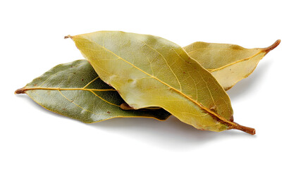 Fototapeta premium Dried bay leaves isolated on white background, side view