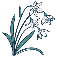 glory of the snow with leaves