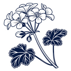 geranium white true on white background 