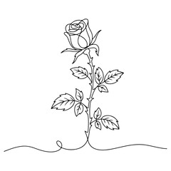 vector illustration of a rose
