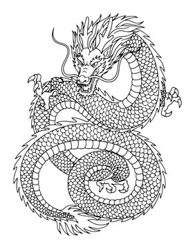 Detailed Asian Dragon Mythical Serpent Line Art Illustration