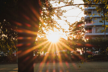 Fototapety na wymiar - Fototapeta24.pl