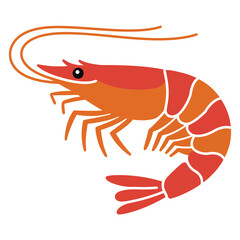 shrimp on white background