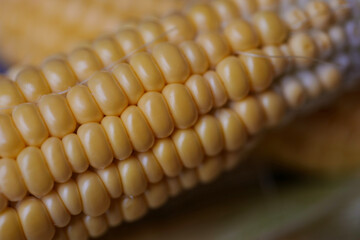 Maiskolben in Nahaufnahme