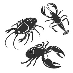Three crustaceans are shown in this illustration