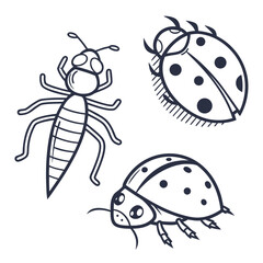 Illustration of three insects, a ladybug and a longbodied insect