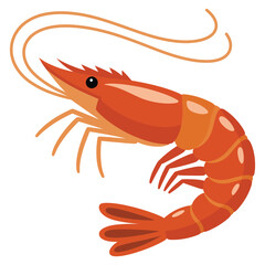 cooked shrimp on a white