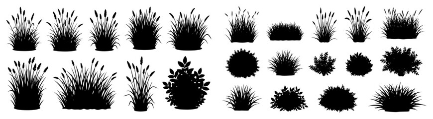 Set of Meadow Grass Reeds and Shrubs Silhouettes