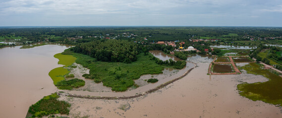 Aerial Chanod trees in the forest at Wat Kham Cha Nod in Ban Dung District,Udon Thani, Thailand.