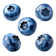 Obraz premium Collection of blueberries cutout png clipping path isolated on transparent background.png