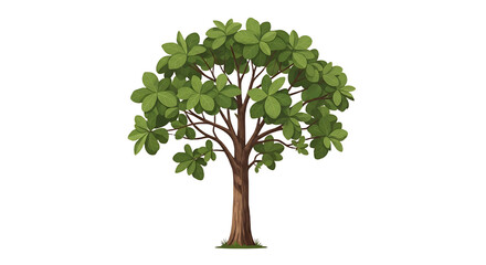 Lush Green Broadleaf Tree Illustration with a Sturdy Brown Trunk and Dense Foliage.