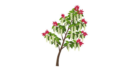 Naklejka premium Vibrant Poinsettia Plant with Red Flowers and Green Leaves.
