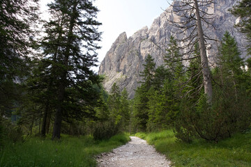 Scenic mountain path winding through lush green forest with towering rocky cliffs in the background