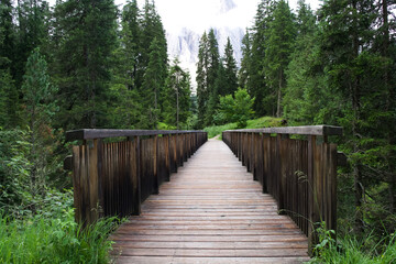 Wooden bridge stretches through lush green forest leading to scenic mountain view in nature's tranquility