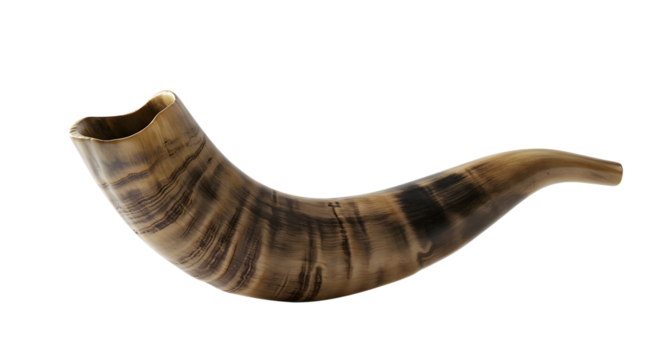 High-resolution image of a Shofar, a ram's horn, isolated on white background;  natural beige and brown tones;  religious, spiritual, and cultural artifact;  detailed texture;  studio shot.