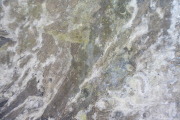Mossy Stone Surface. Stone surface with moss, stains, and organic patterns. Aged natural texture with earthy tones.