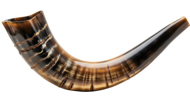 High-resolution image of a polished shofar, a ram's horn, showcasing intricate details and warm brown tones against a neutral background; perfect for religious, cultural, or artistic projects.