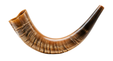 High-resolution image of a polished shofar, a ram's horn, isolated on white background;  traditional Jewish ceremonial instrument;  warm, rich tones;  detailed texture.
