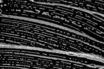 Grunge scratched surface backdrop.  Wavy black and white abstract pattern with flowing motion, perfect for artistic backdrops and digital art.