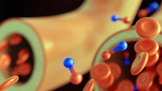 3D rendered visualization illustrates the molecular and cellular dynamics of vasodilation, focusing on the role of nitric oxide in modulating&nbsp;vascular&nbsp;tone.