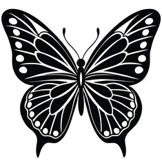 Butterfly vector illustration on white background