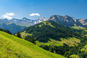 Obraz premium Scenic alpine landscape with green meadows, towering mountains, and clear blue summer skies in the heart of the Swiss Alps