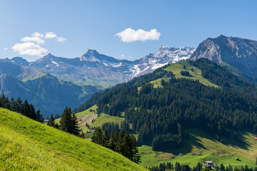 Fototapeta premium Scenic alpine landscape with green meadows, towering mountains, and clear blue summer skies in the heart of the Swiss Alps