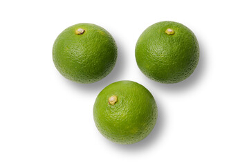 3つ並んだ綺麗な緑色のカボス