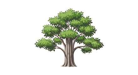 Lush Green Canopy Tree with Thick Textured Bark and Branching Structure.