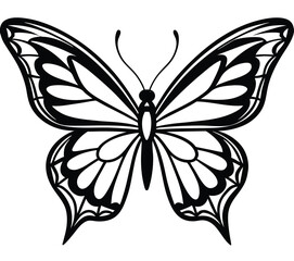 A graceful black and white butterfly with delicate wings, a beautiful vector illustration for your design