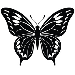 Monarch butterfly vector illustration with black and white wings isolated on a white background