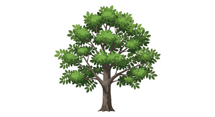 Vibrant Green Tree Illustration with Full Canopy.