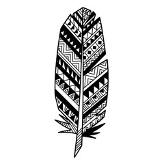 vector illustration of a feather