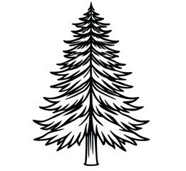 Obraz premium A vibrant set of isolated Christmas fir trees with a variety of green and snowy branches perfect for holiday and winter season illustrations