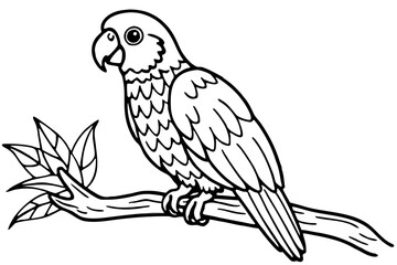 Parrot on Branch Outline Illustration for Coloring Books and Educational Materials