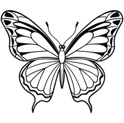 Black and white butterfly vector illustration