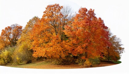 Autumn Sale Banner For Online Businesses Webpages Etc Isolated On Transparent Background