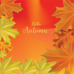 Autumnal Harmony A Border of Colorful Leaves Framing "Hello Autumn" Invitation Warm Orange and Red Background