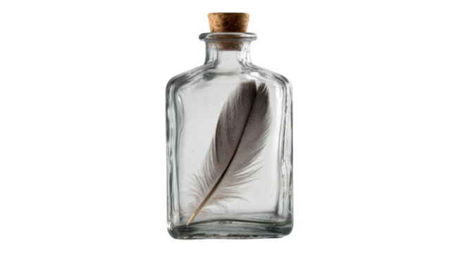 Feather in the glass of bottle isolated on white background 