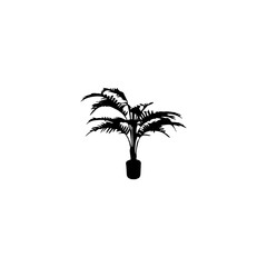 silhouette of a palm tree in black