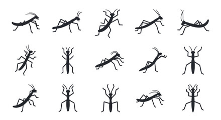Fototapeta premium Collection of Stick Insect Silhouettes - Diverse Poses and Leg Configurations.