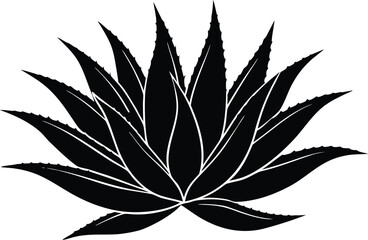 Aloe Vera Plant with Pointed Leaves silhouette vector