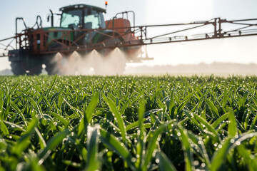 Agricultural sprayer applying pesticides to a lush green crop field