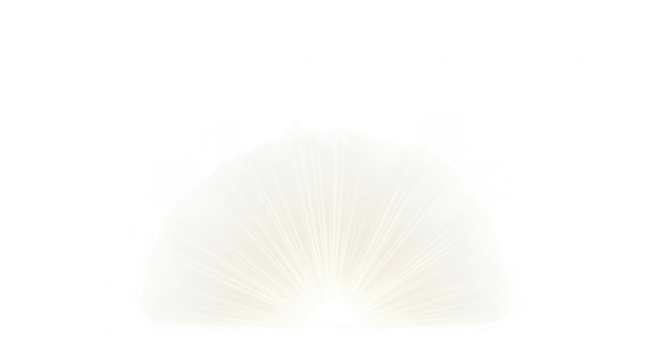 Close up of a fluffy white feather with delicate translucent edges against a black background