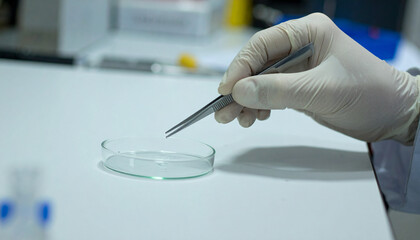 Researchers hand in protective gloves carefully using tweezers over a petri dish background