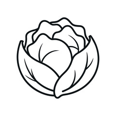 Cabbage Outline Line Art Vector Illustration