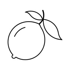 Lemon Outline Line Art Vector Drawing