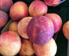 Fresh Ripe Nectarines at Farmers Market. Mediterranean fruits. Red pinkish yellowy fruits.