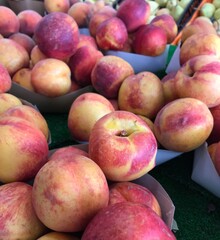 Fresh Ripe Nectarines at Farmers Market. Mediterranean fruits. Red pinkish yellowy fruits.