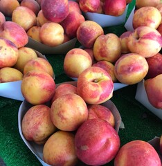 Fresh Ripe Nectarines at Farmers Market. Mediterranean fruits. Red pinkish yellowy fruits.
